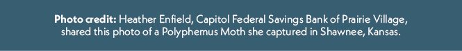 Photo credit: Heather Enfield, Capitol Federal Savings Bank of Prairie Village, shared this photo of a Polyphemus Mot...